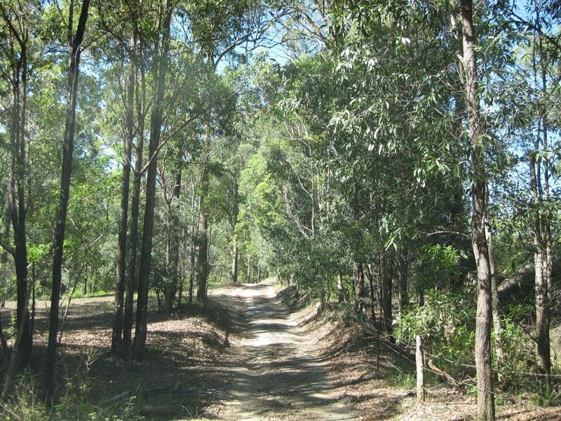 801 Quinzeh Creek Road,, Cedar Creek QLD 4207