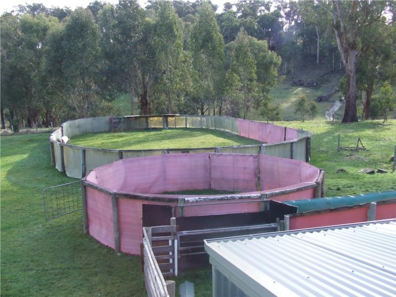 104 Thalloo Road, Tanjil South VIC 3825