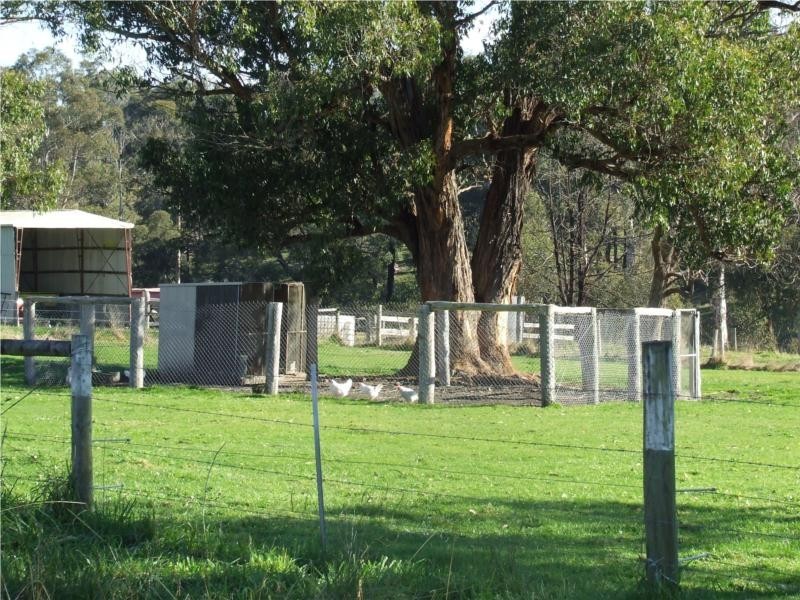 104 Thalloo Road, Tanjil South VIC 3825