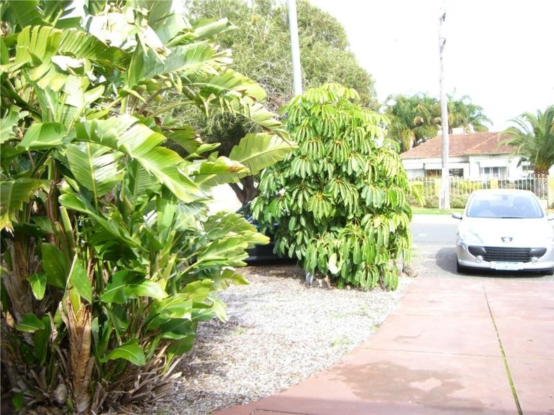 221B Daly Street, Belmont WA 6104