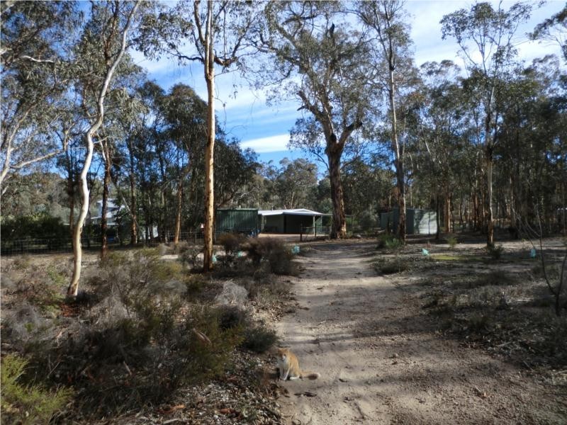 196 Tamma Road, Bakers Hill WA 6562