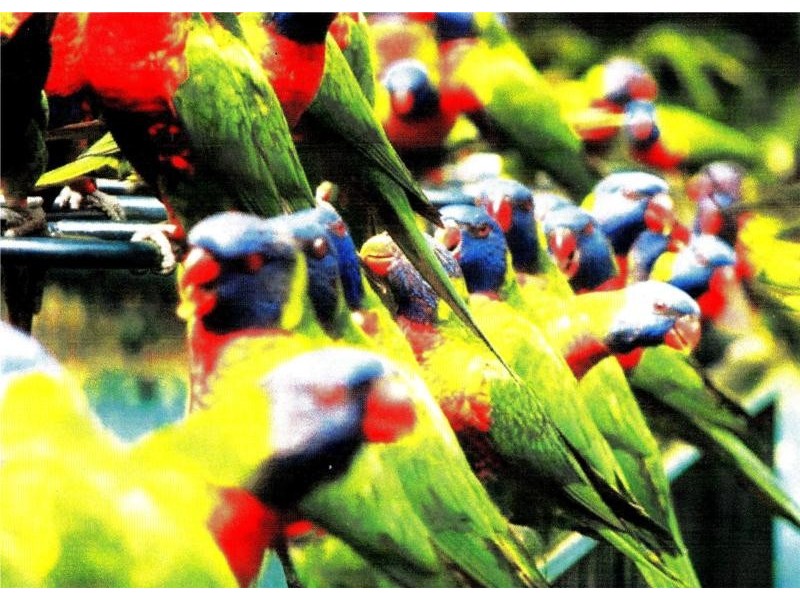 12 Mataranka Drive, Worongary QLD 4213