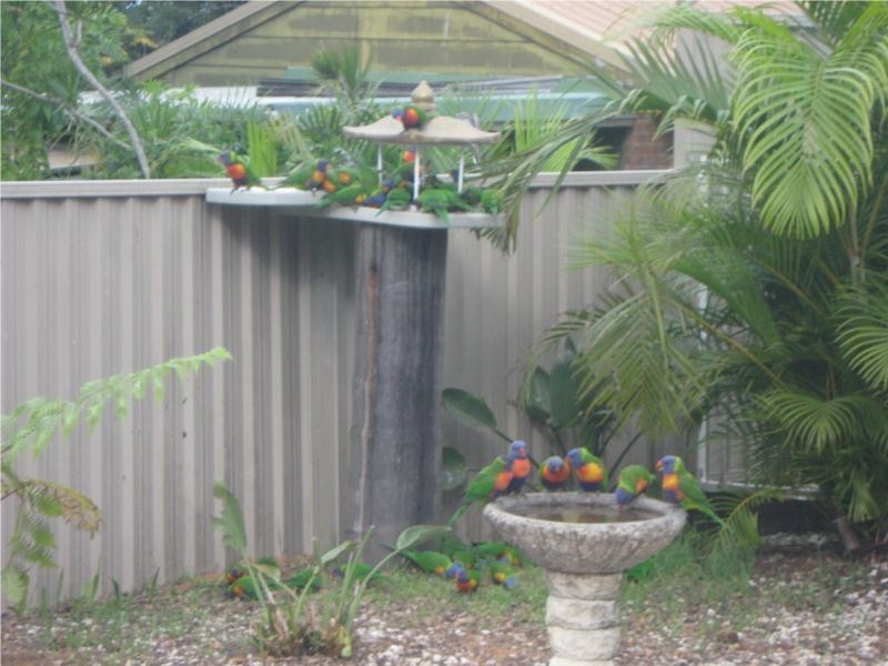 12 Mataranka Drive, Worongary QLD 4213