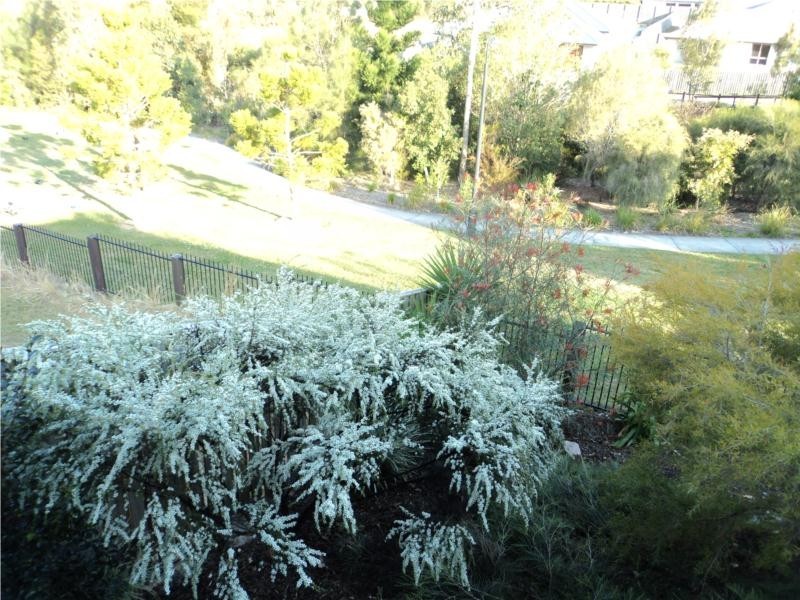 8 Barrington Street, Upper Coomera QLD 4209