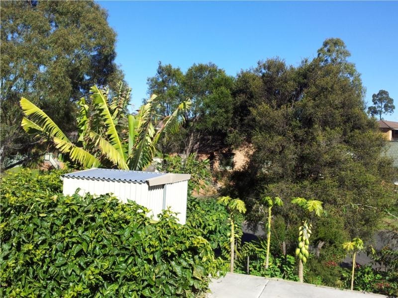 31 Bower Parade, Singleton Heights NSW 2330