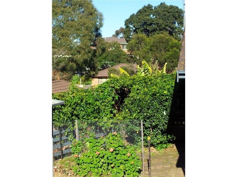 31 Bower Parade, Singleton Heights NSW 2330