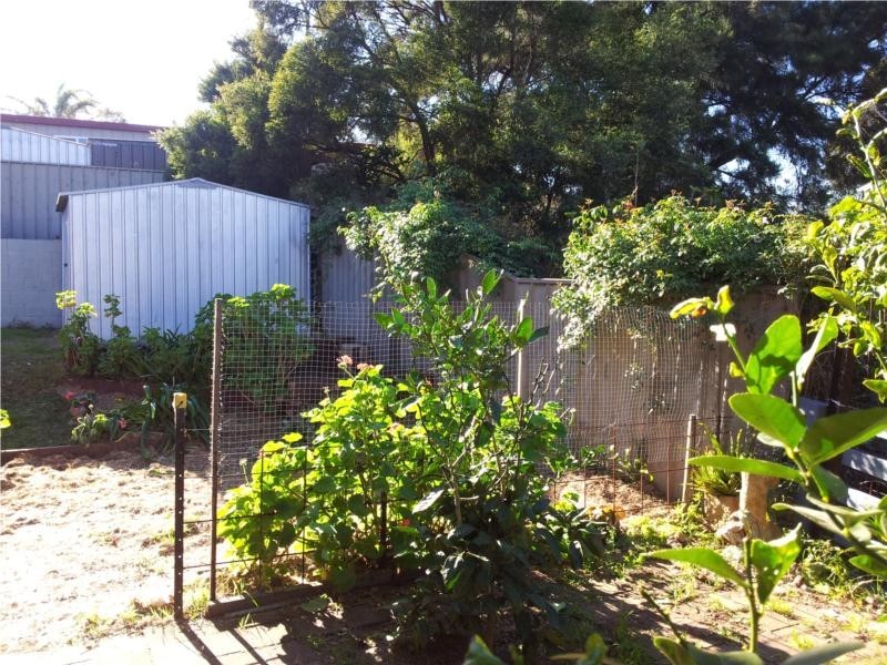 31 Bower Parade, Singleton Heights NSW 2330