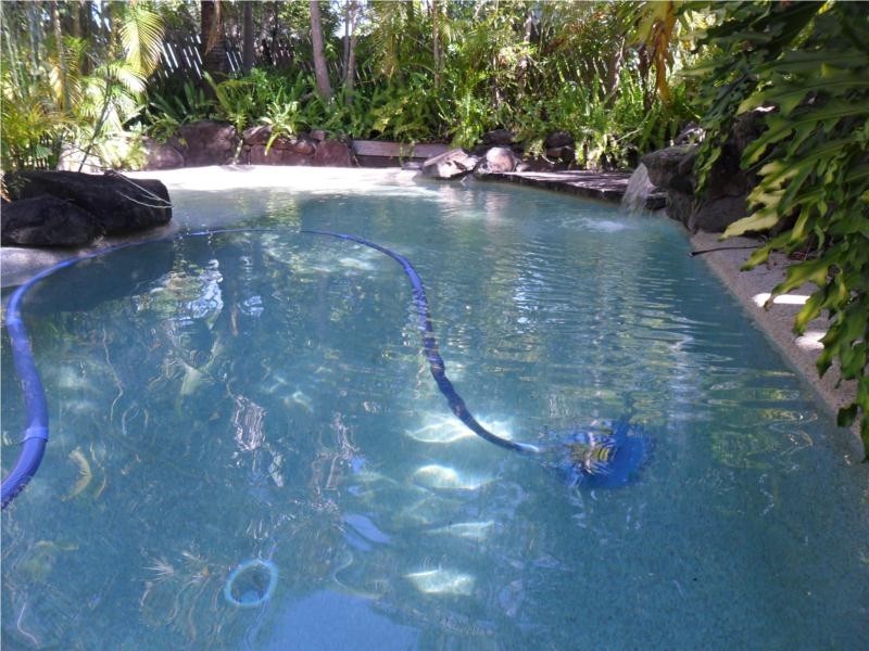 53 Kapilano Cres, Mountain Creek QLD 4557
