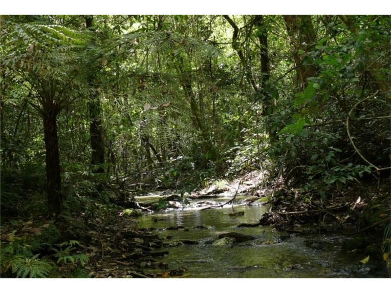 Lot 10 Postmans Trail, Bellbrook NSW 2440