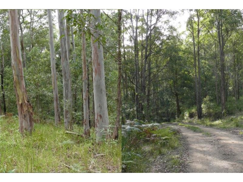 Lot 10 Postmans Trail, Bellbrook NSW 2440