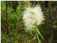 Eagles Eyr/Lot 11 Cooee Trail, Moonabung Road, Vacy NSW 2421