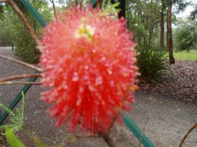 Eagles Eyr/Lot 11 Cooee Trail, Moonabung Road, Vacy NSW 2421