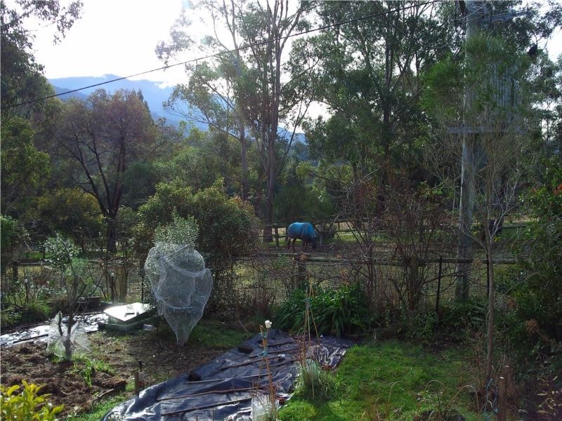 72 leslie rd., Kingston TAS 7050