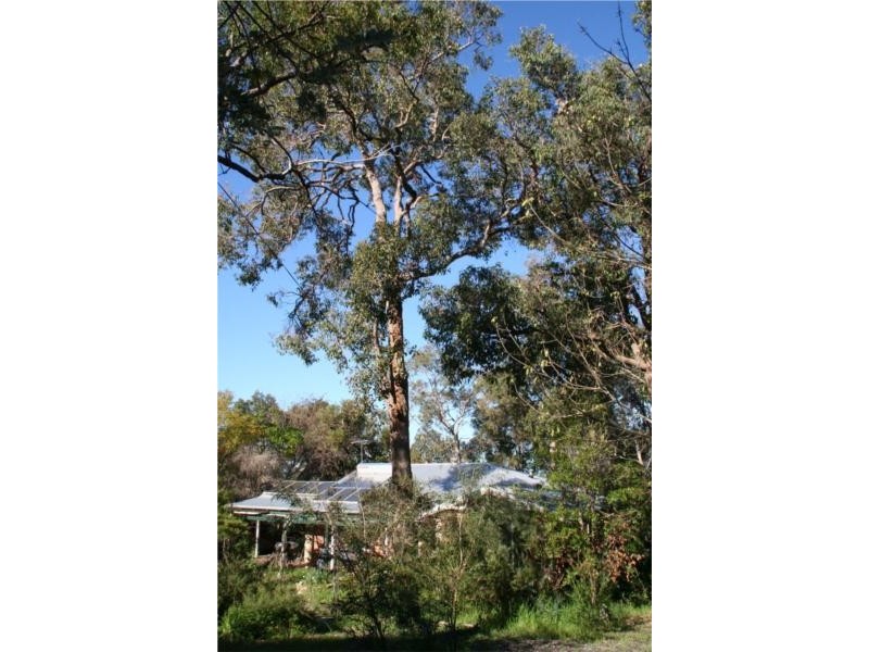 27 Goldsmith Drive, Wellard WA 6170