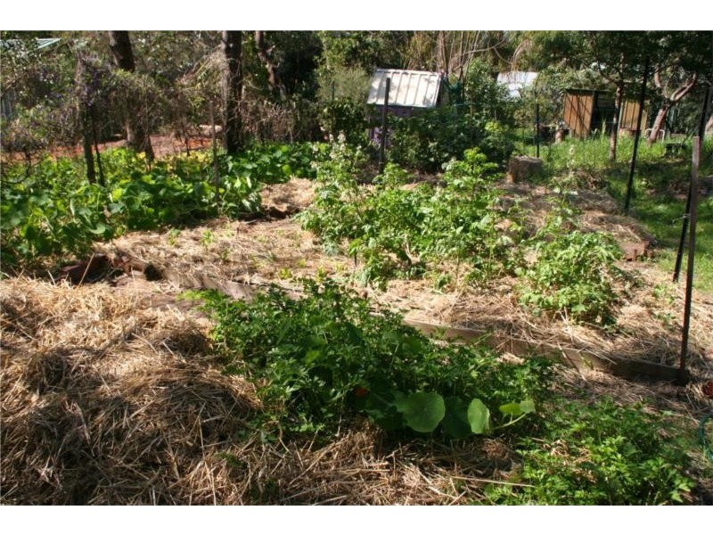 27 Goldsmith Drive, Wellard WA 6170