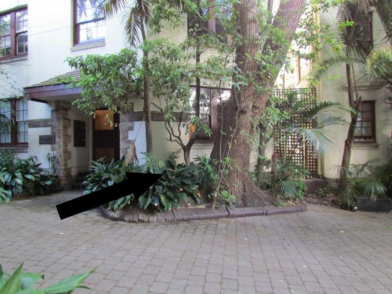 2 Palm Court/42 Bayswater Road, Rushcutters Bay NSW 2011