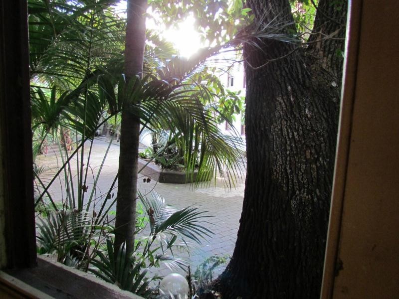 2 Palm Court/42 Bayswater Road, Rushcutters Bay NSW 2011