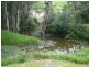 16 Teak Place, Nobbys Creek NSW 2484