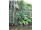 16 Teak Place, Nobbys Creek NSW 2484