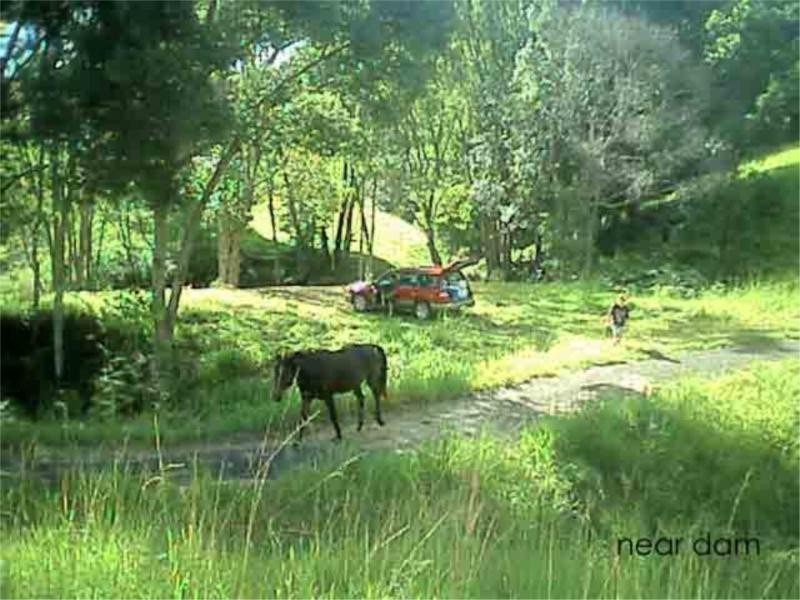 16 Teak Place, Nobbys Creek NSW 2484