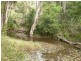 16 Teak Place, Nobbys Creek NSW 2484