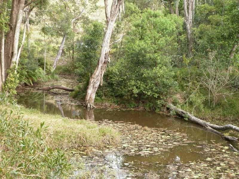 16 Teak Place, Nobbys Creek NSW 2484
