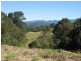 16 Teak Place, Nobbys Creek NSW 2484