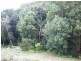16 Teak Place, Nobbys Creek NSW 2484
