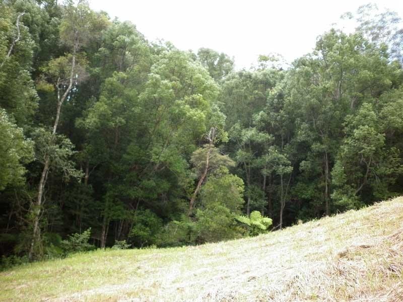 16 Teak Place, Nobbys Creek NSW 2484