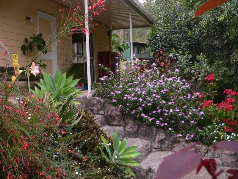 42 Pademelon Pass, Nerang QLD 4211