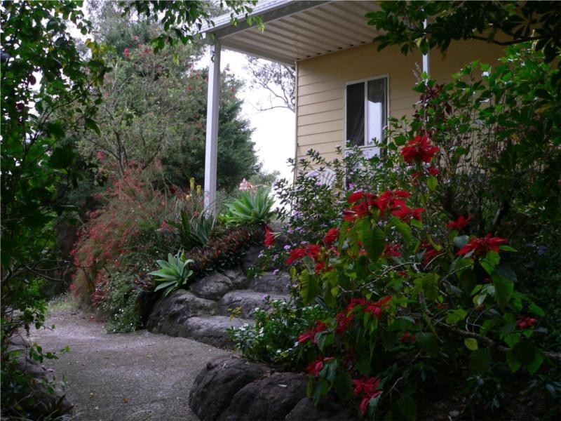 42 Pademelon Pass, Nerang QLD 4211