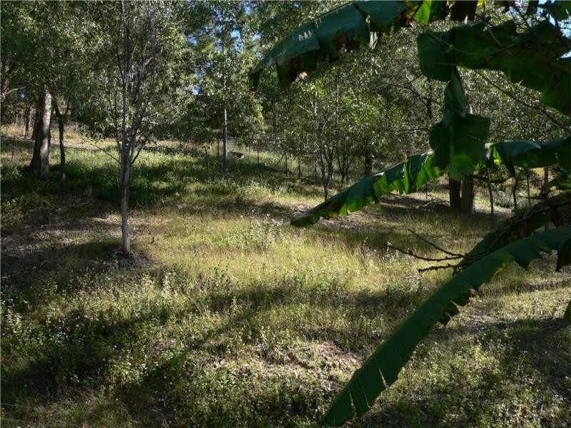 42 Pademelon Pass, Nerang QLD 4211