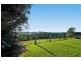 684 Bangalow Road, Talofa NSW 2481