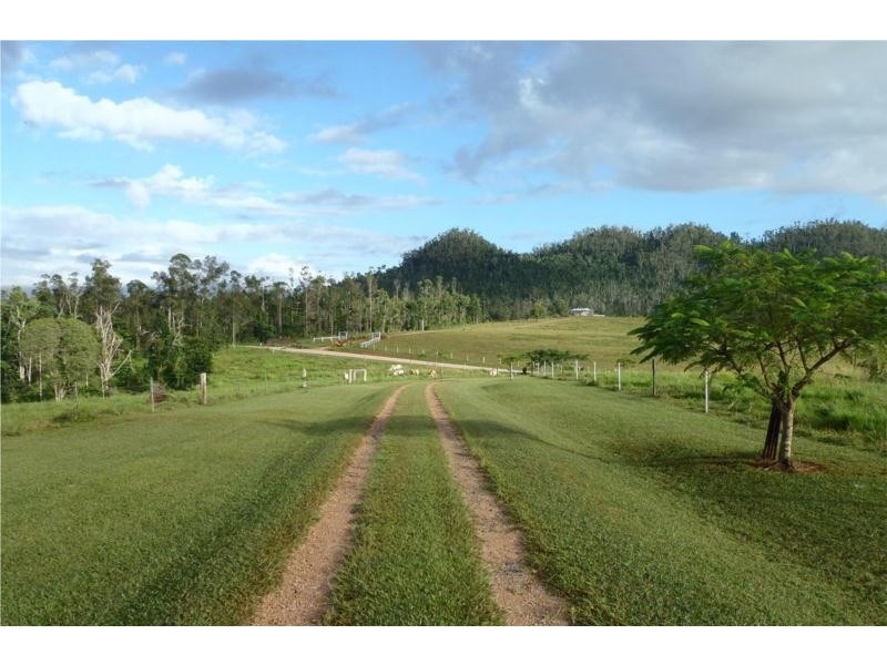 627 Scougall Road, Tully QLD 4854