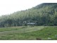 627 Scougall Road, Tully QLD 4854