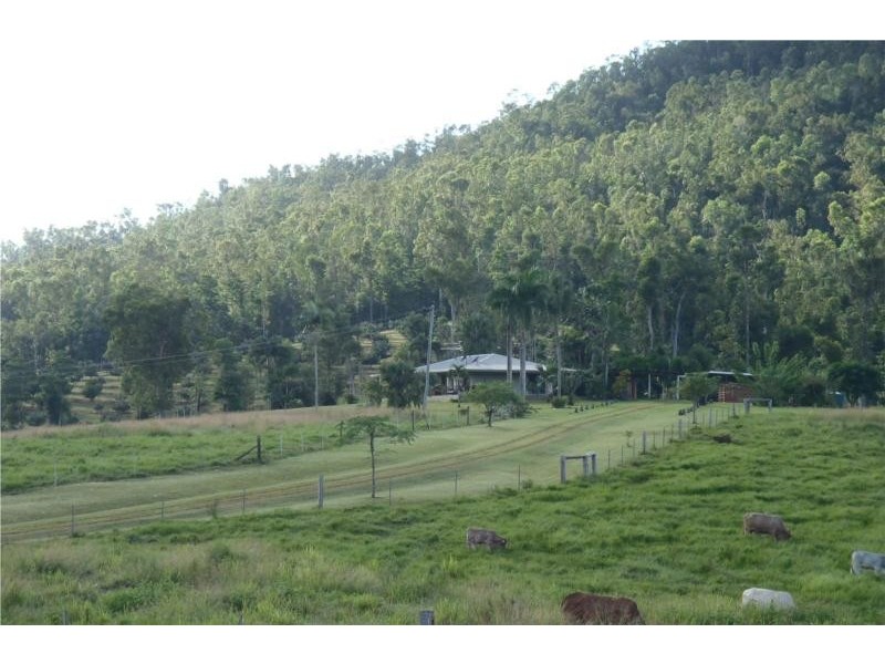 627 Scougall Road, Tully QLD 4854