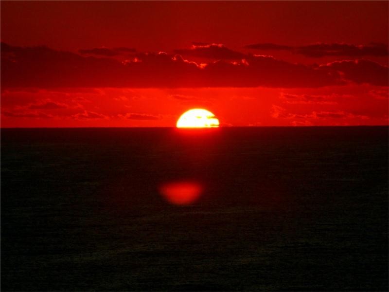 1504/21 Elizabeth Street, Broadbeach QLD 4218