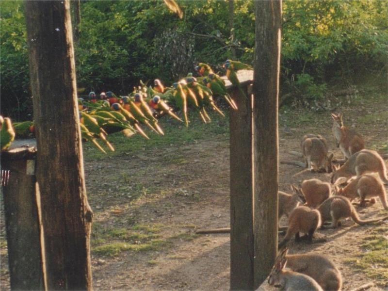 292 Shallow Bay Road, Coomba Park NSW 2428