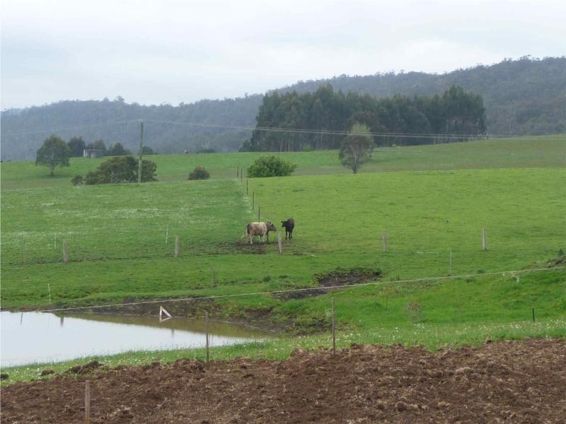 9 Cromwells Road, West Kentish TAS 7306