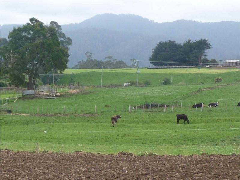 9 Cromwells Road, West Kentish TAS 7306