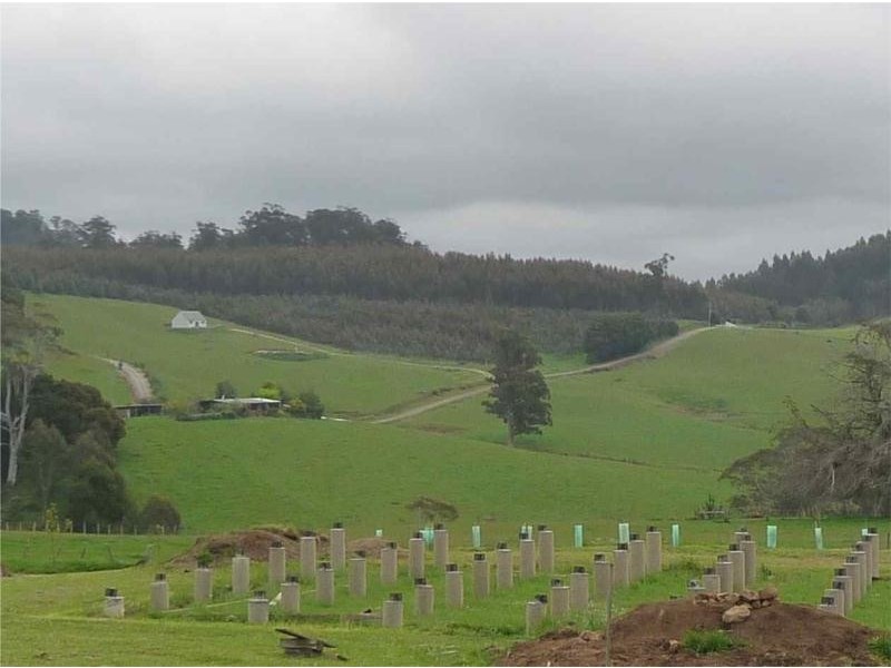 9 Cromwells Road, West Kentish TAS 7306