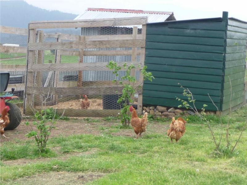 9 Cromwells Road, West Kentish TAS 7306