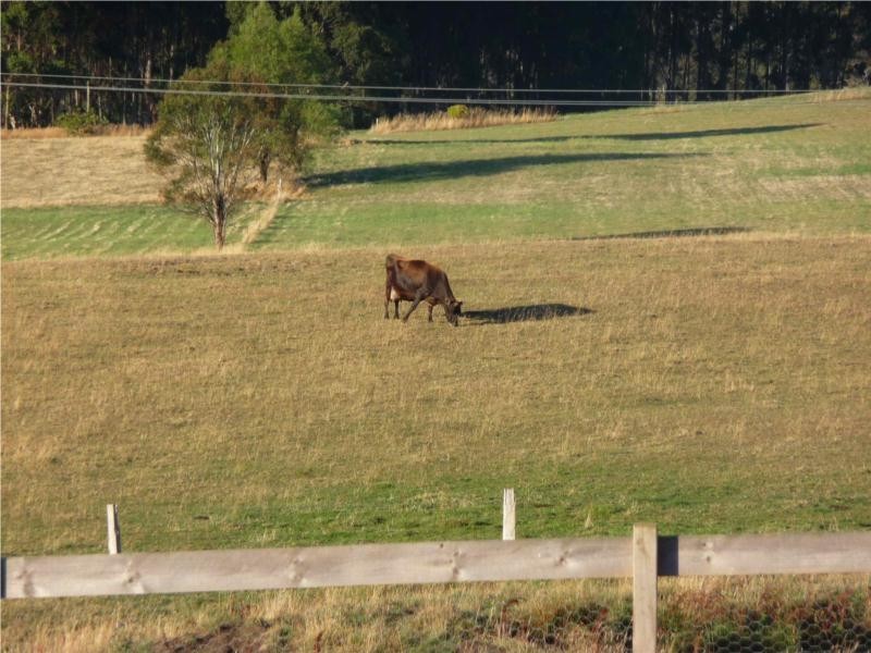 9 Cromwells Road, West Kentish TAS 7306