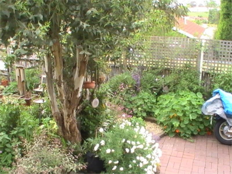 94 Giblin Street, Lenah Valley TAS 7008