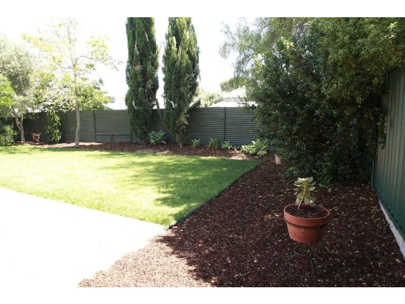8 Bosanquet Avenue, Prospect SA 5082
