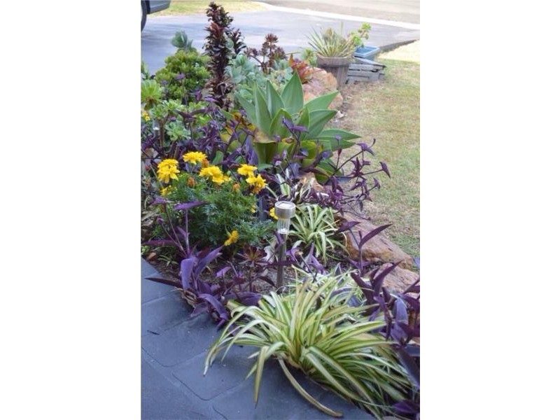Narrawallee NSW 2539