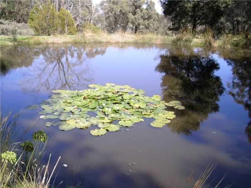 1055 Old Tolmie Road, Tolmie VIC 3723