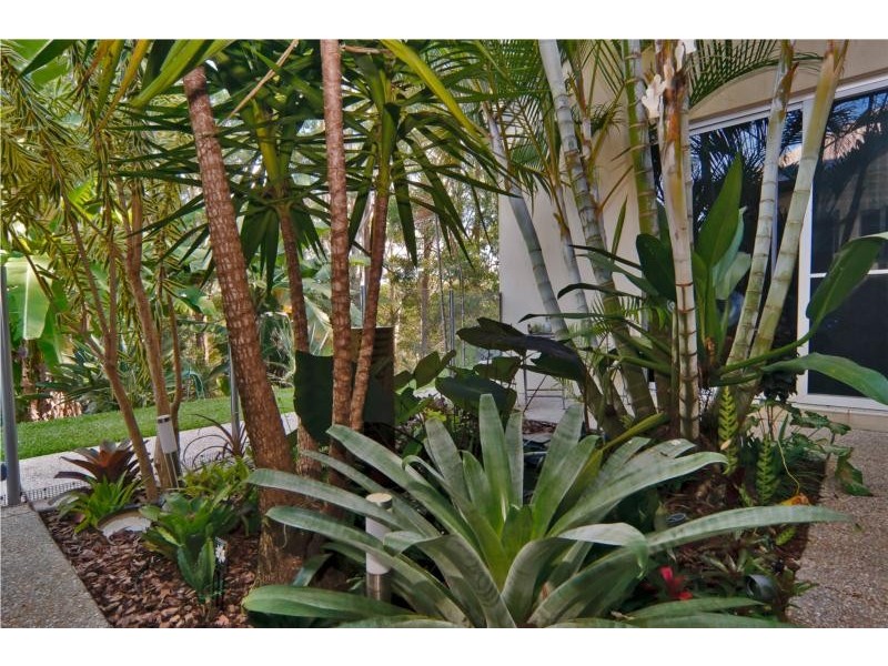 45 Remington Shute Road, Montville QLD 4560