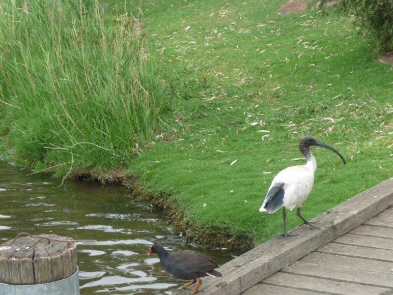 11/17-19 Church Street, Marden SA 5070