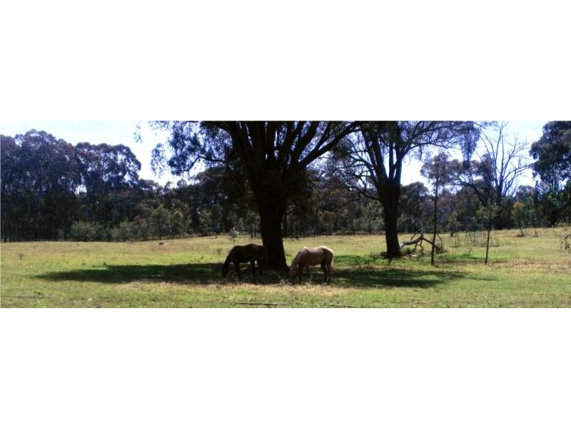 97 Horse Gully Road, Balmattum VIC 3666